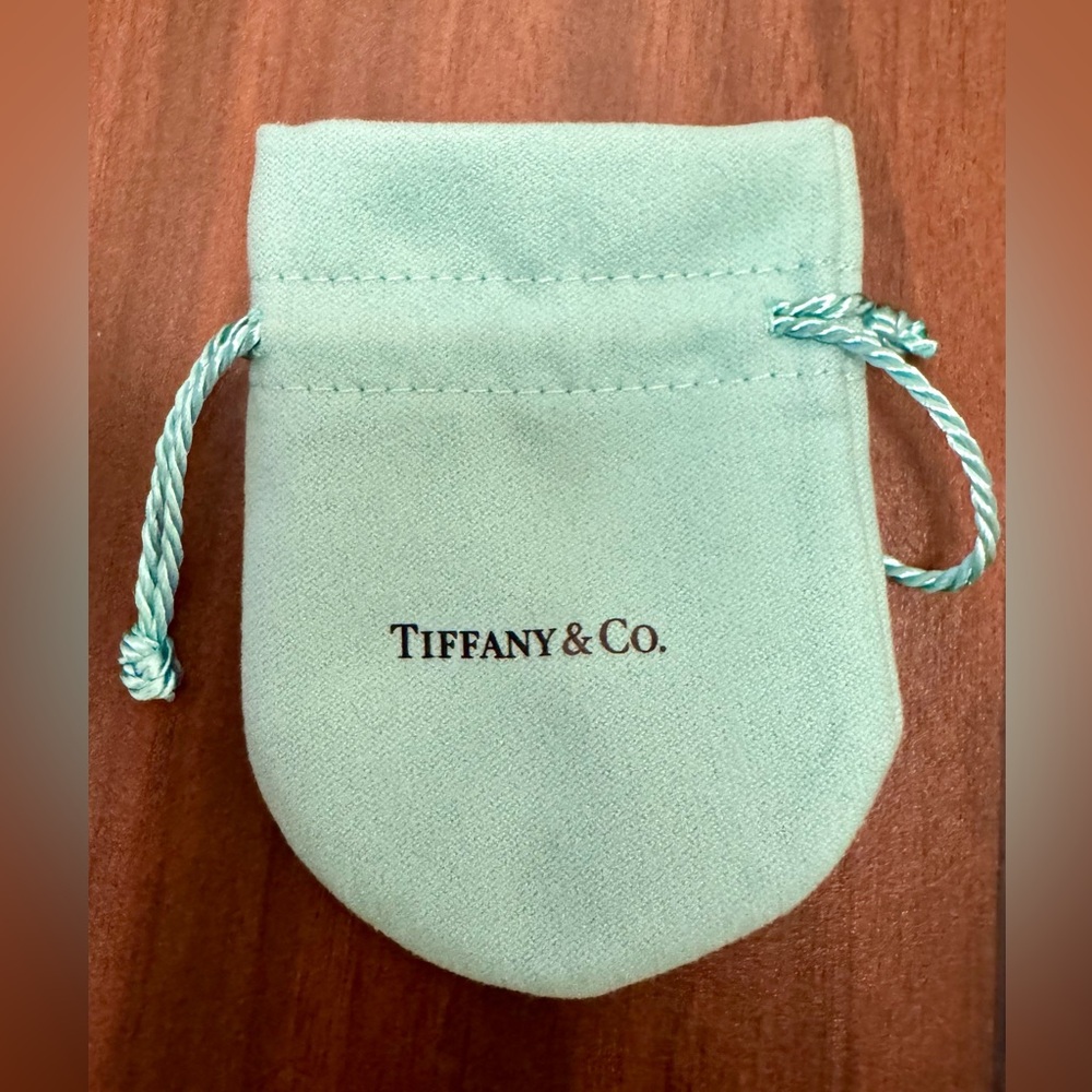 Tiffany & Co. Aqua Blue Drawstring Pouch